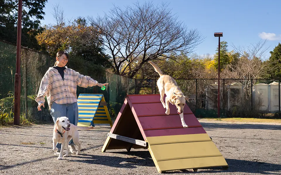 敷地内dog park
