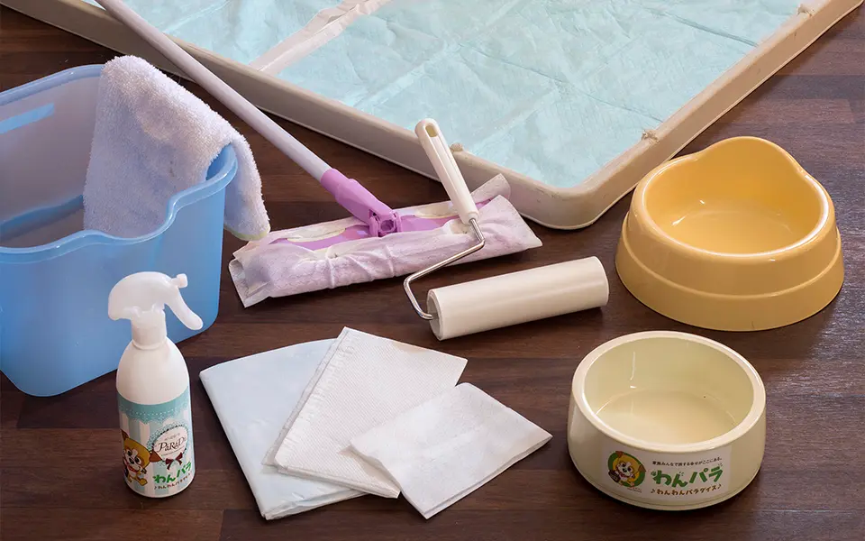 【ドッグフレンドリールーム】スタンダードツイン