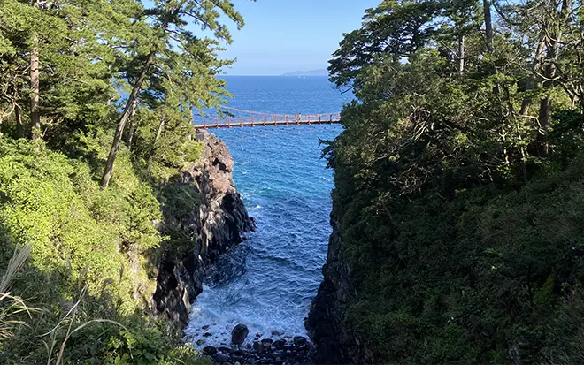 海鮮料理を食べた後城ケ崎海岸へ