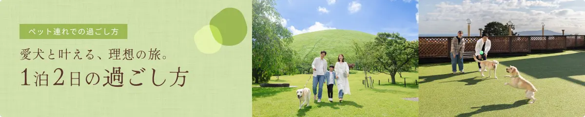 過ごし方