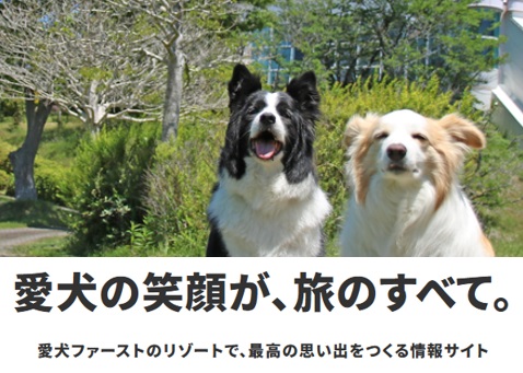 愛犬との旅をもっと楽しく、もっと安心に♪全国各地の観光情報や旅行準備ガイドをお届け!