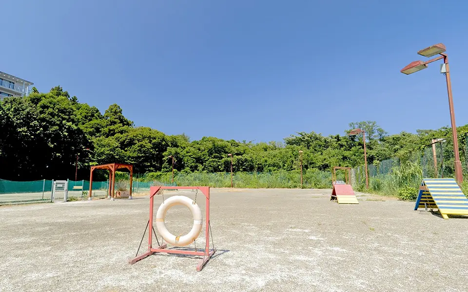 敷地内dog park