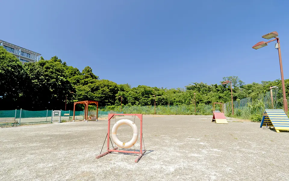 敷地内dog park