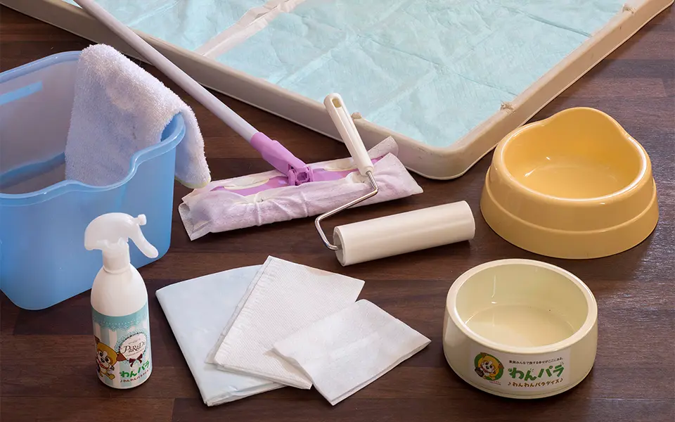 【ドッグフレンドリールーム】メゾネット和洋室