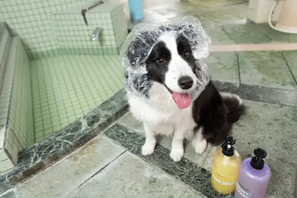 貸切風呂（大室）