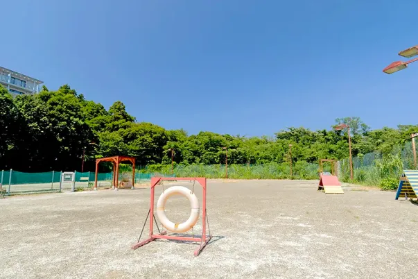 屋外Dog Park