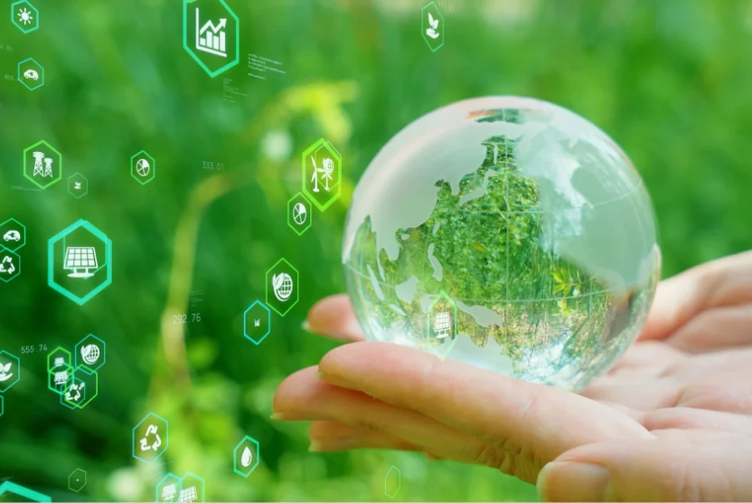 「もったいない」の美徳