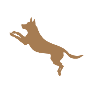 ドッグラン