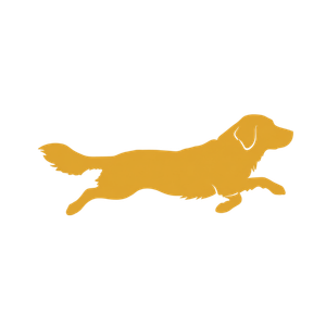 ドッグラン