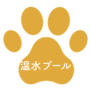 温水プール