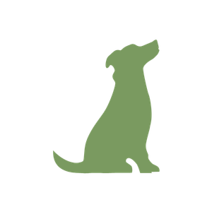 お部屋