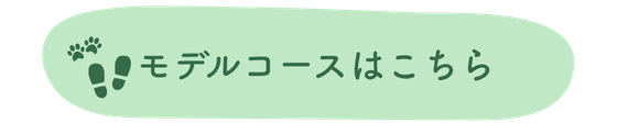 モデルコース