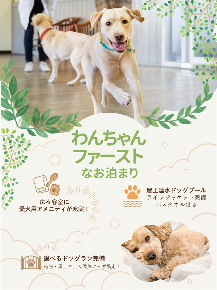 わんちゃん